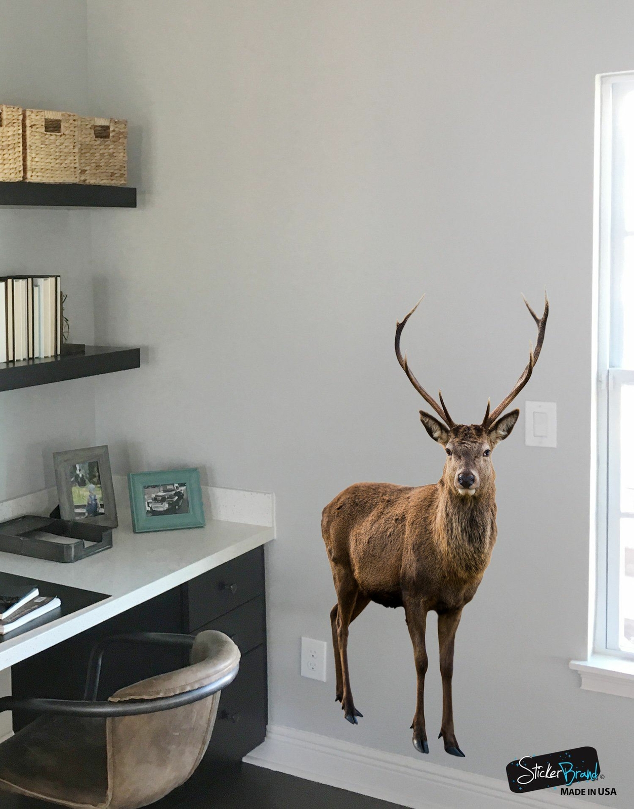 Wildlife Nature Deer Wall Decal Sticker. Posing and Staring. Large Horn Buck wit