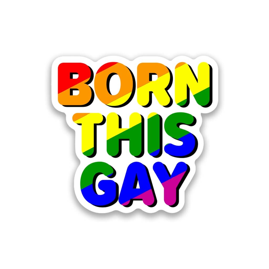 Born This Way Born This Gay Vinyl Sticker 3.5" Wide – Includes Two Stickers
