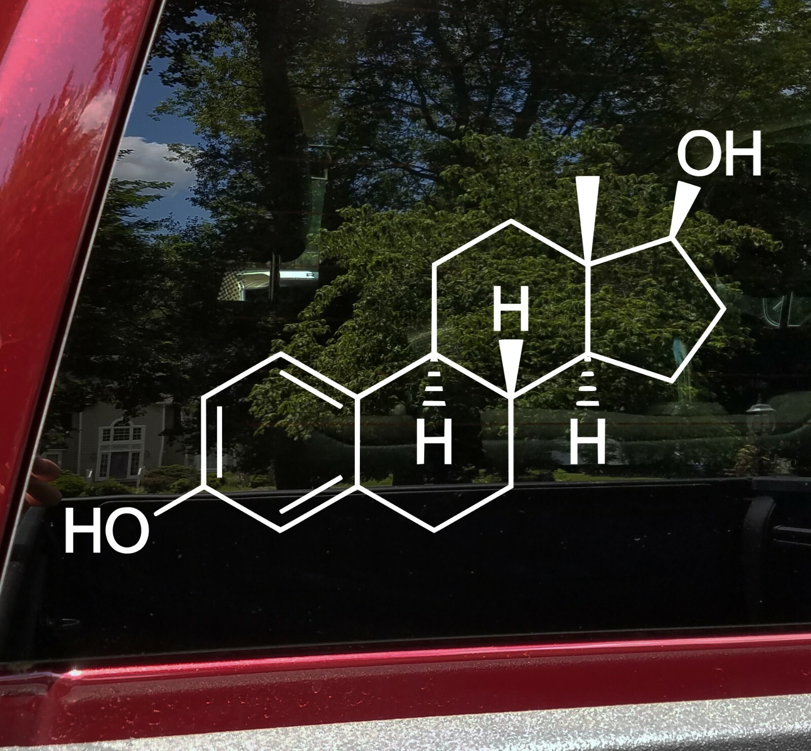 Estrogen Vinyl Decal – Chemical Compound Composition Feminine – Die Cut Sticker