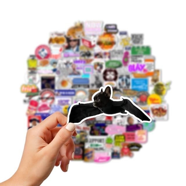 100pcs Funny Viral Stickers for Teens & Adults – Laptop, Water Bottle, Gift Idea