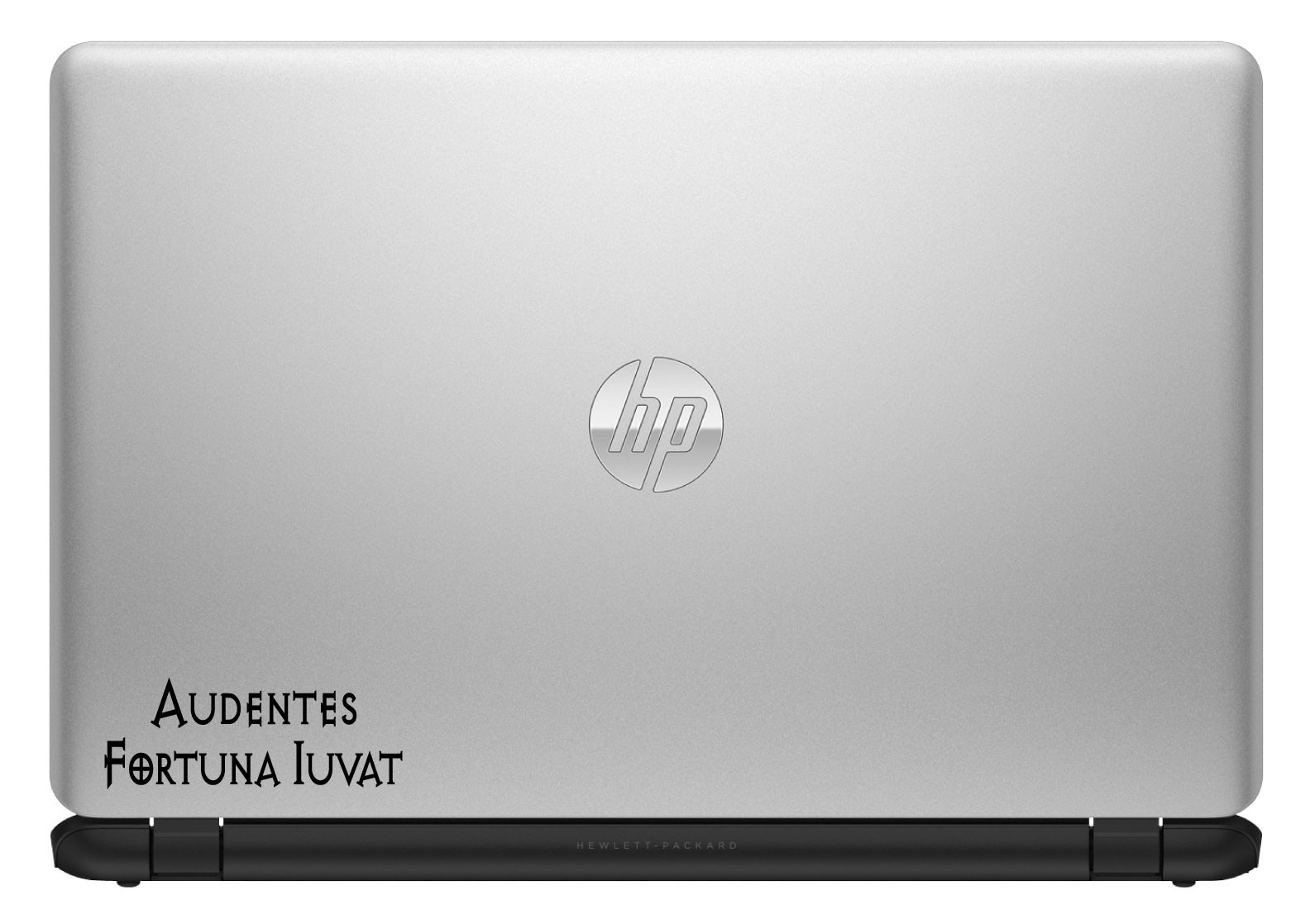 Audentes Fortuna Iuvat Vinyl Sticker/Decal Latin Saying Fortune Favors The Bold