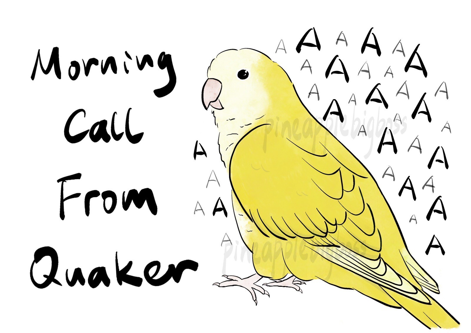 CAR Sticker Yellow Quaker Parrot Monk Parrot Outdoor use/UV & Water Proof