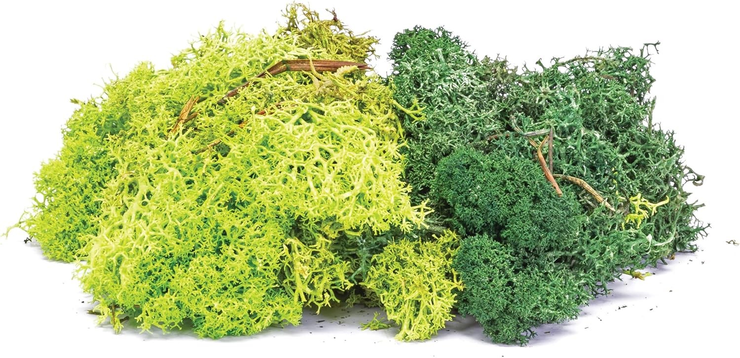 Hornby R7194 Scenic Materials-Lichen-Green Mix, Multi, 1 Count (Pack of 1)