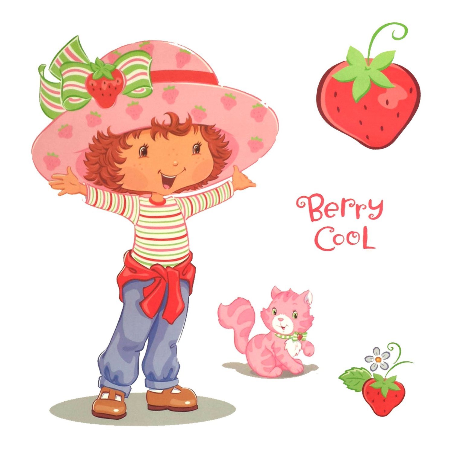 Strawberry Shortcake Kitten Butterfly Berry Cool Girl Wall Large Decal Set Decor