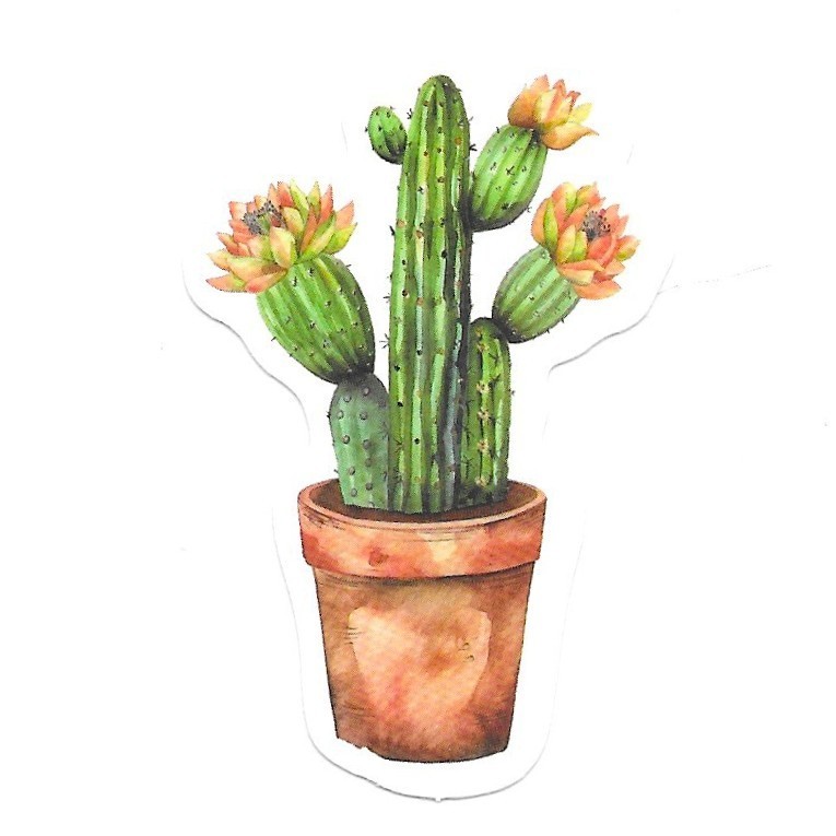 Vinyl Sticker Die Cut Flowering Cactus Decal Succulent Desert Blossom Laptop