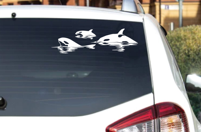Sea Fauna – Orca Pack #7 – Outdoor Window Die Cut Decal Vinyl Sticker 6Yrs Film