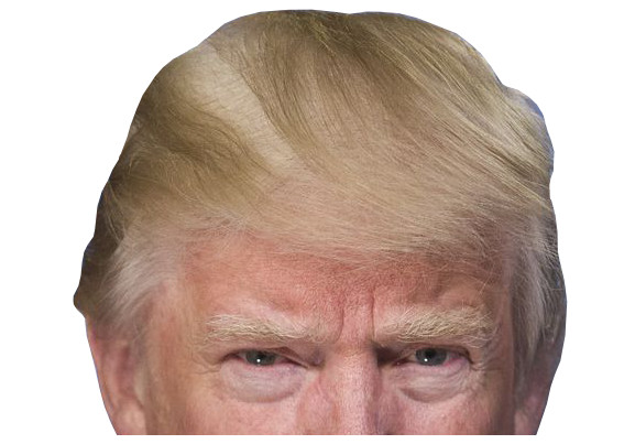 Donald Trump 45 Peeping Window Sticker President Watching Peeking FREE SHIPPING