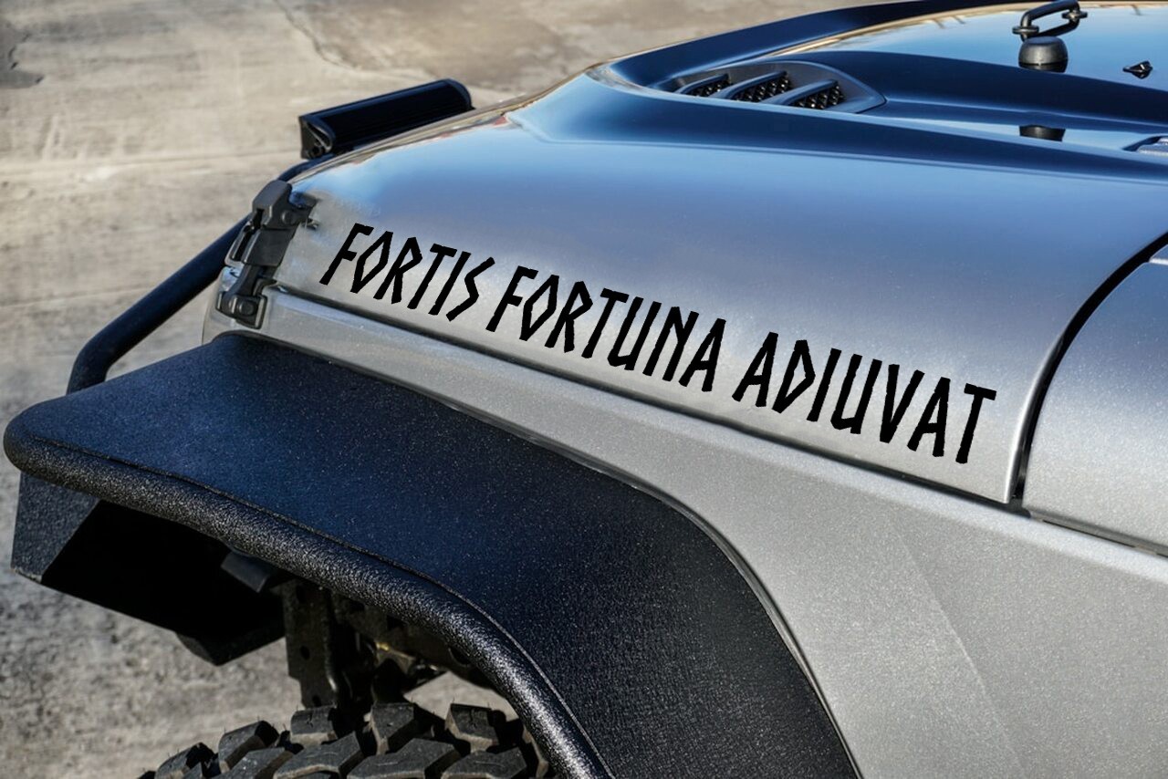 Fortis Fortuna Adiuvat Fortune Favors Bold Vinyl Sticker Decal Latin Motto