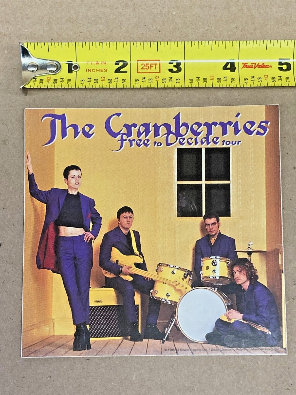 Official Licensed The Cranberries Sticker ~ Vintage Original 1996 ~ Collectible