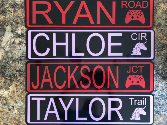 Custom Steel 6"X24" Street Sign with Icon, Your Choice Background