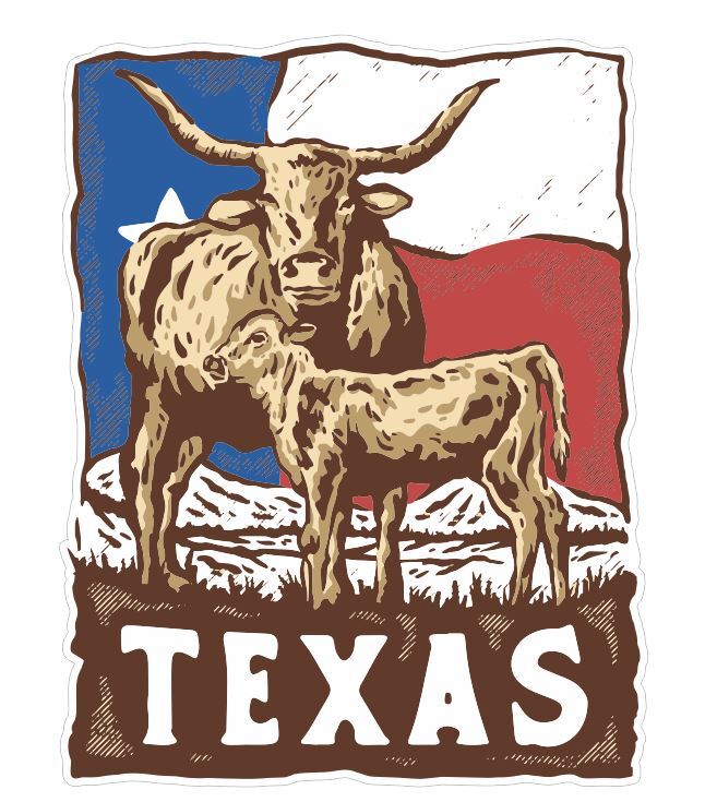 Texas Sticker Decal A484