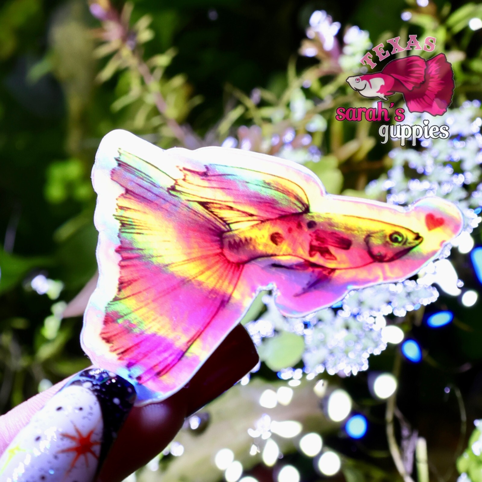 Pink Guppy Heart Sticker: Holographic🐠💕 Sarah's Guppies Homemade Designed