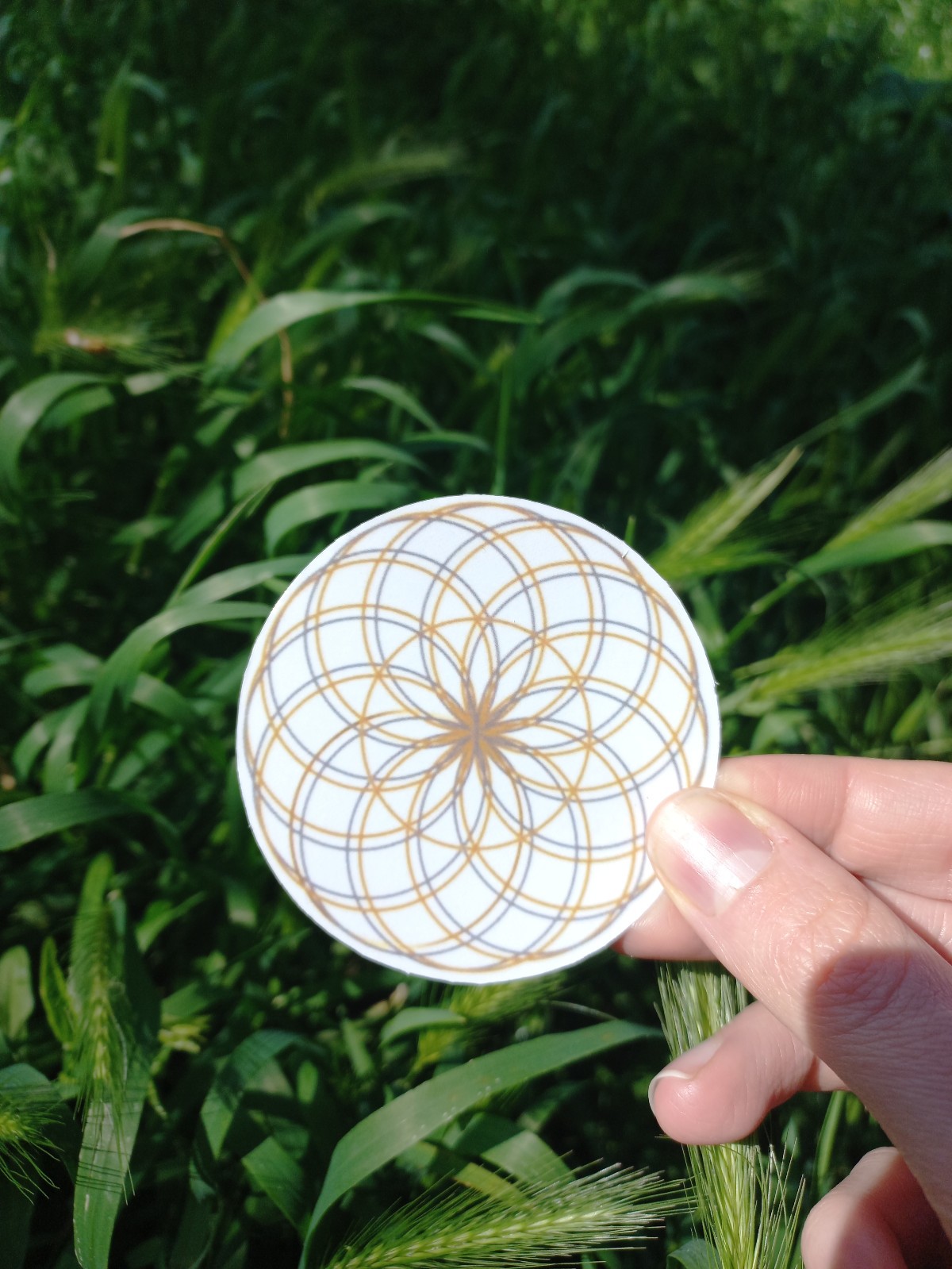 Flower of life , Lotus of life sacred geometry stickers