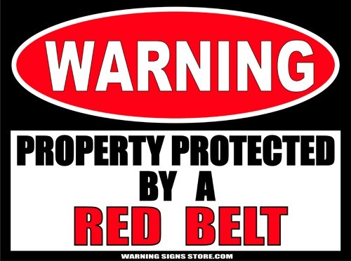 Red Belt Martial Arts Warning Stickers Set of 2 Decals 4" wide WS296