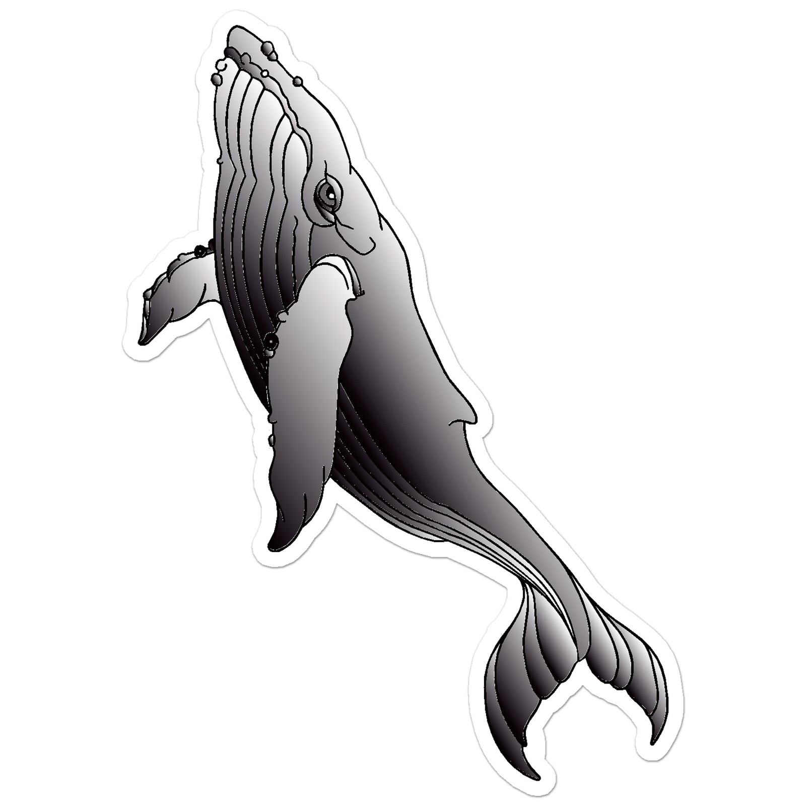 Grey Whale – Vinyl Decal Sticker – Car Window Laptop – ebn9172