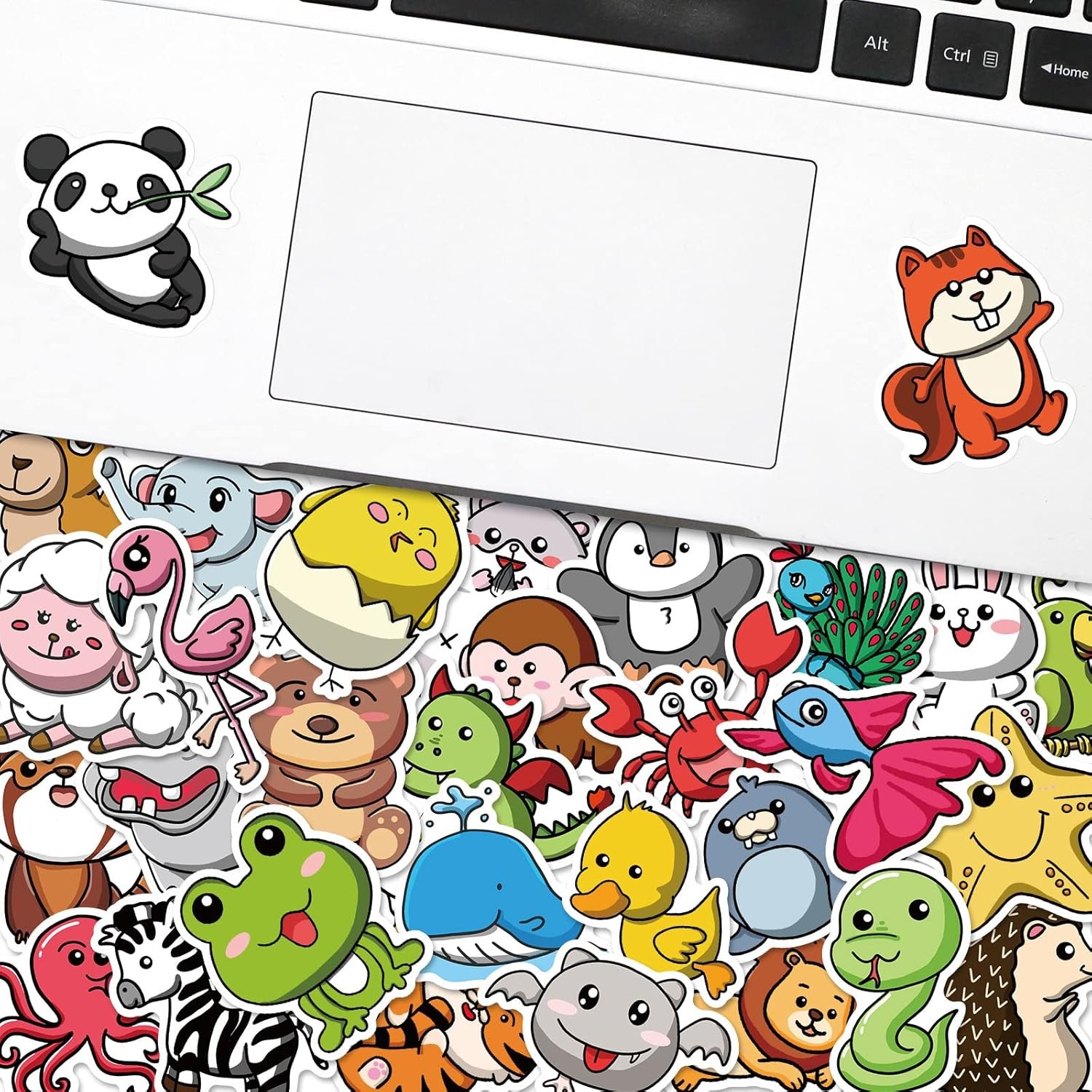 100Pcs Water Bottle Stickers, Safe Fade-Resistant Waterproof Vinyl Stickers for