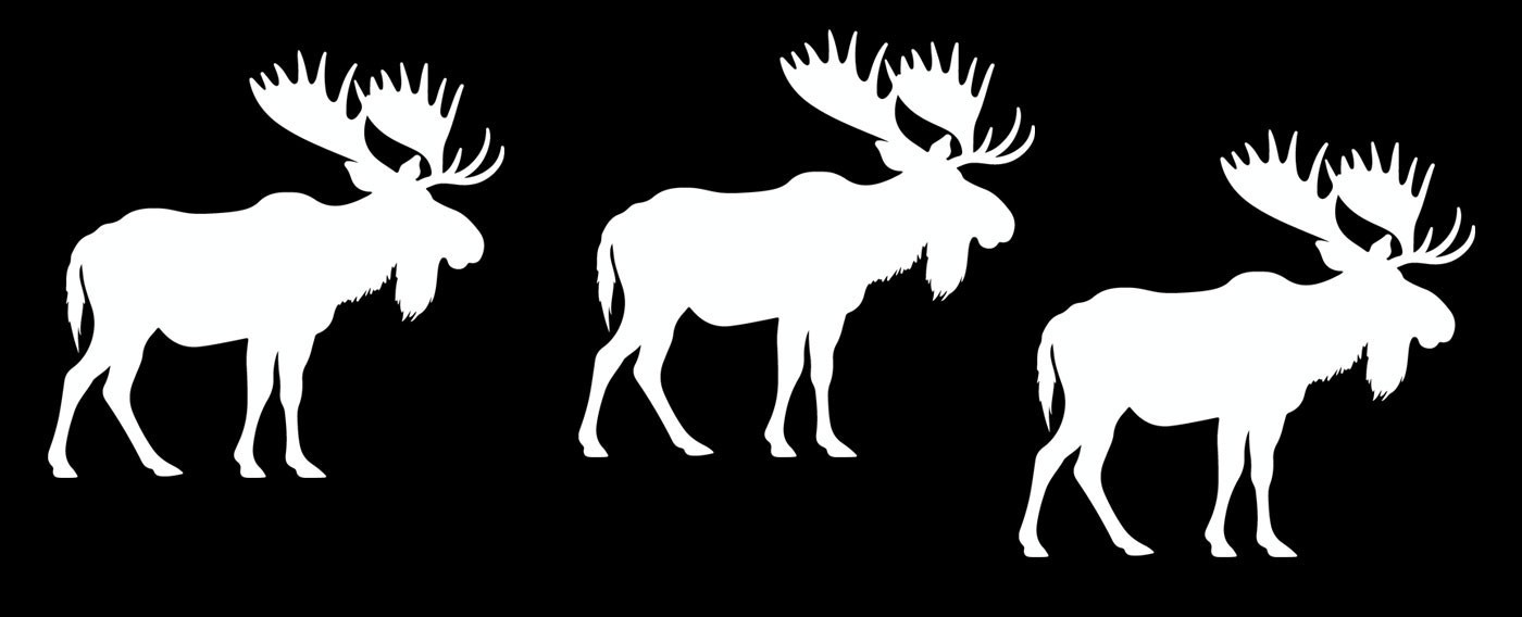 Moose White Vinyl Decals Car Window Laptop Tablet Notebook Tumbler Mugs