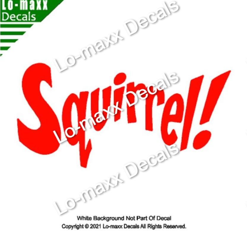 Squirrel! Funny Cute Original Custom Art High Performance Die Cut Vinyl Decal