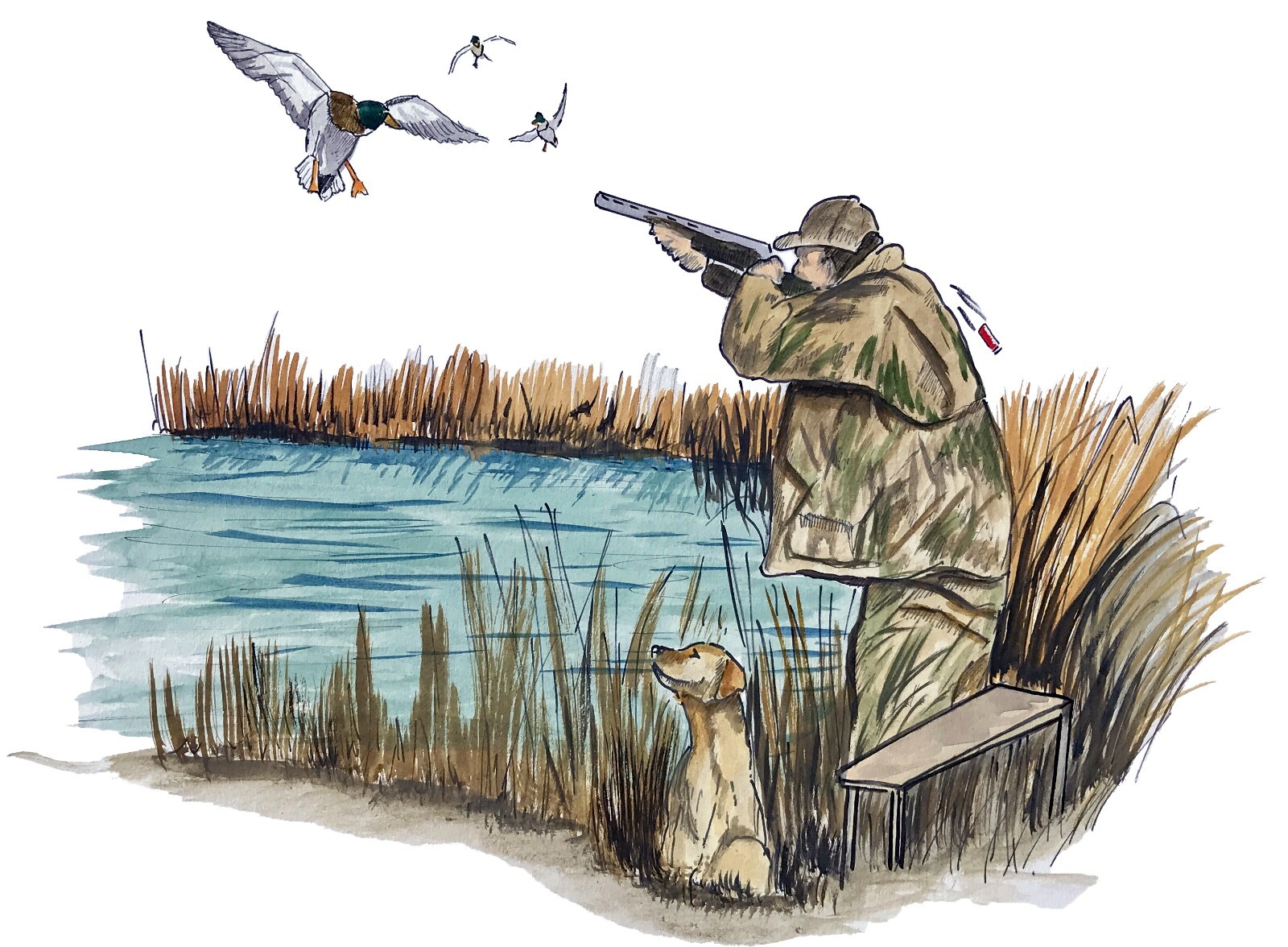 Duck Hunter and Bird Dog Hunting High Quality Decal Car ATV Truck Cooler Cup