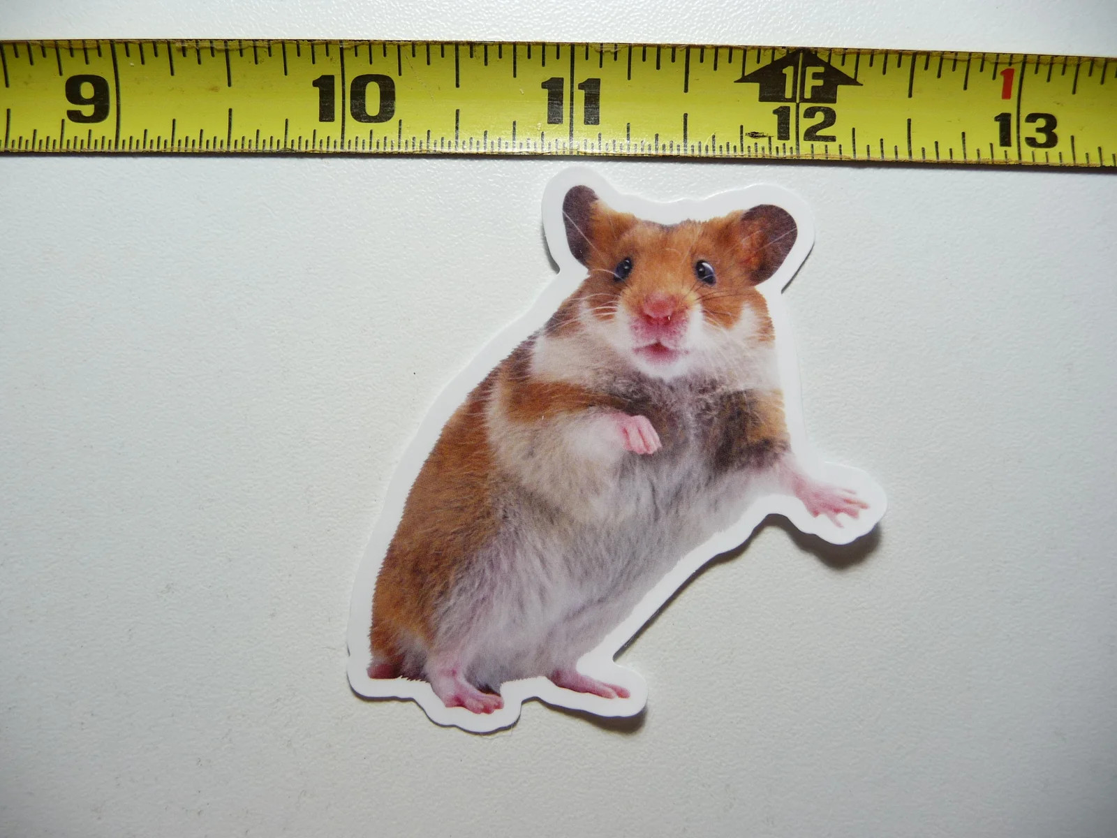 PET GOLDEN HAMSTER SMALL STICKER DECAL WILDLIFE PRESERVE NATURE ANIMAL