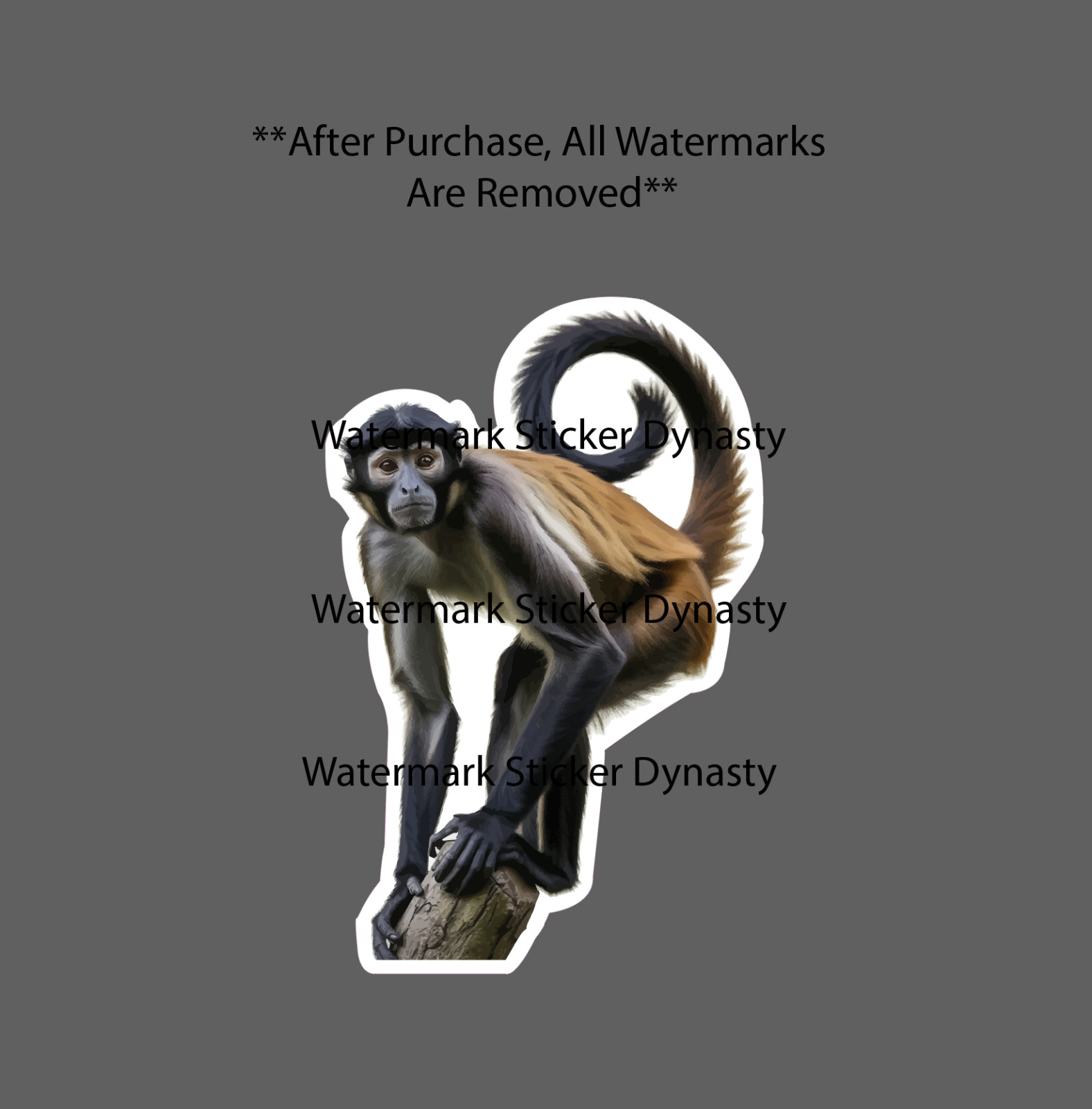 Spider Monkey Sticker Waterproof Decal Animal Wildlife Nature Gift NEW