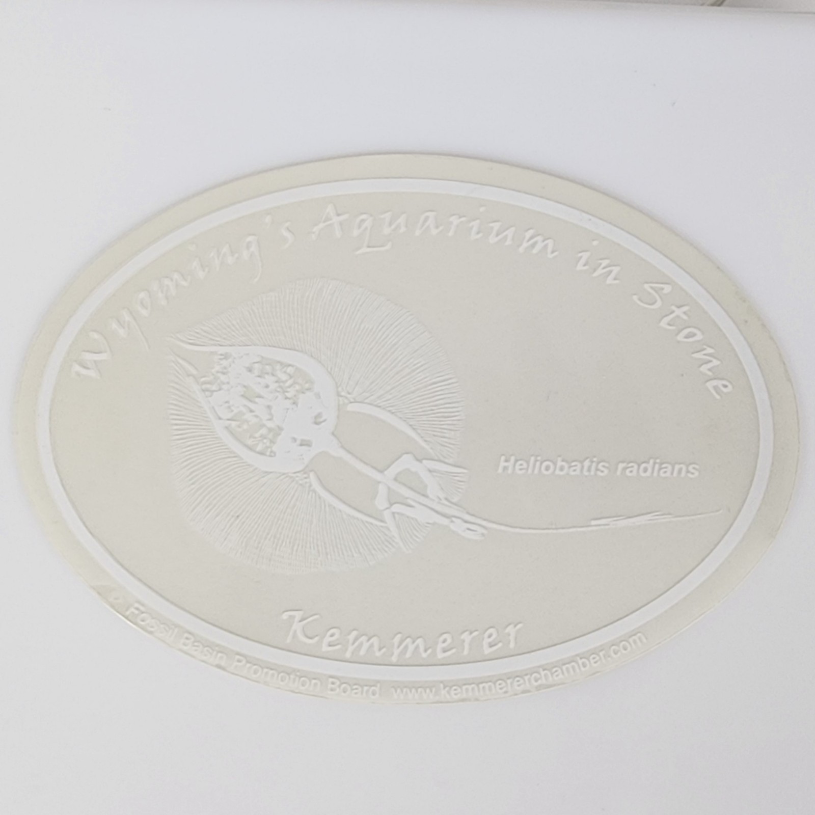 Fossil Butte National Monument WY An Aquarium in Stone Kemmerer Decals CLEAR/WHT