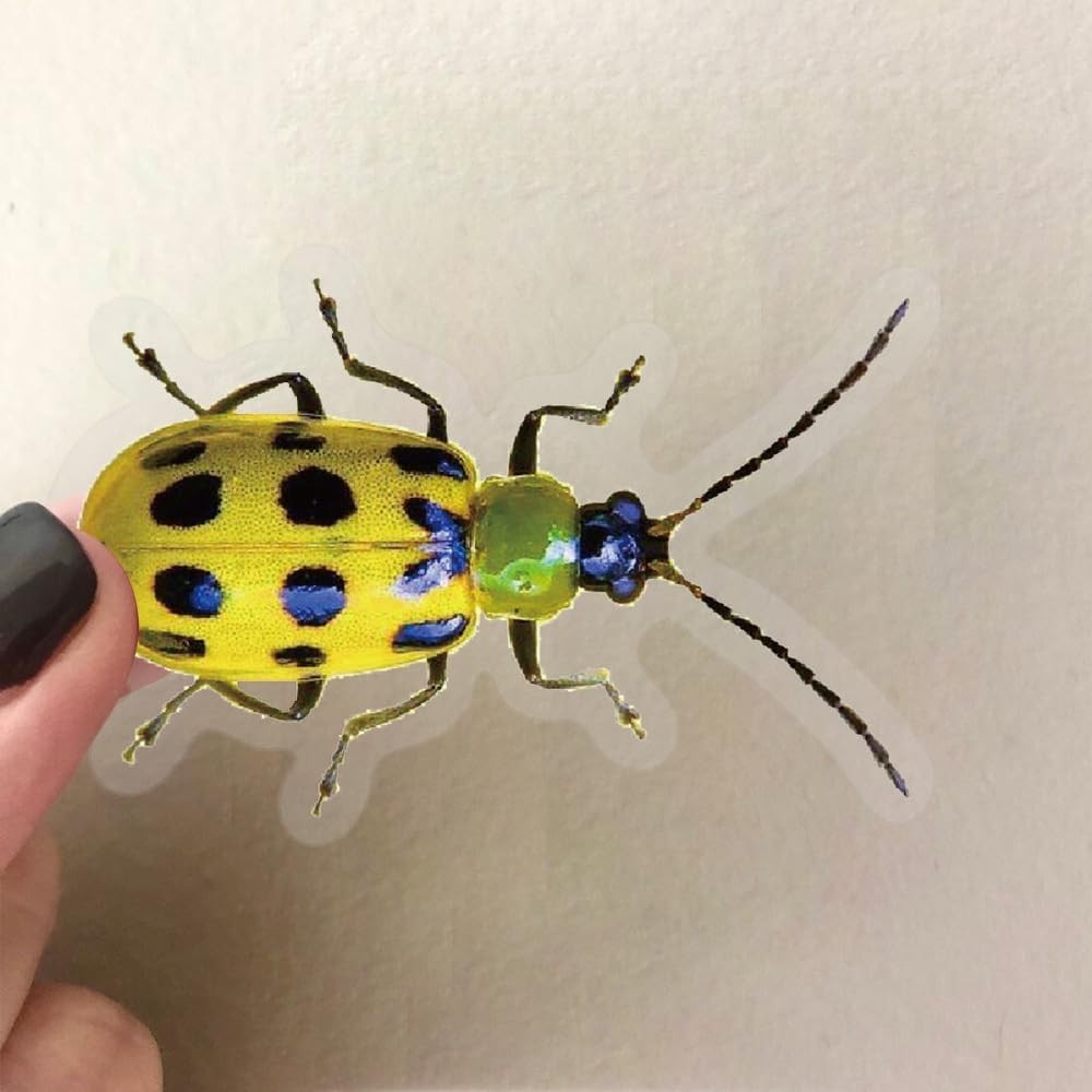 50 Realistic Insect Stickers – Transparent & Waterproof Insect Stickers for Kids