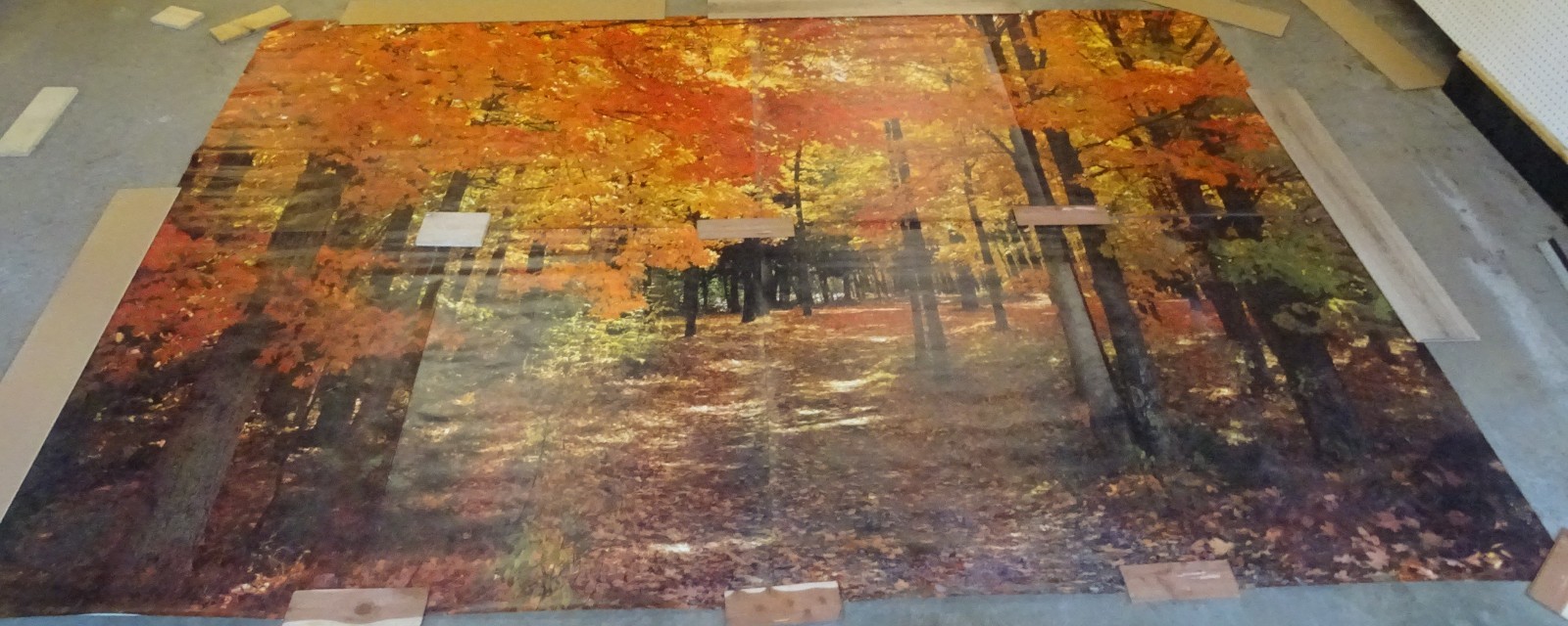 Full Wall Photo Mural Colorful Autumn Leaves Forest Path Tree 8’ 8” x 12’ 6” NOS