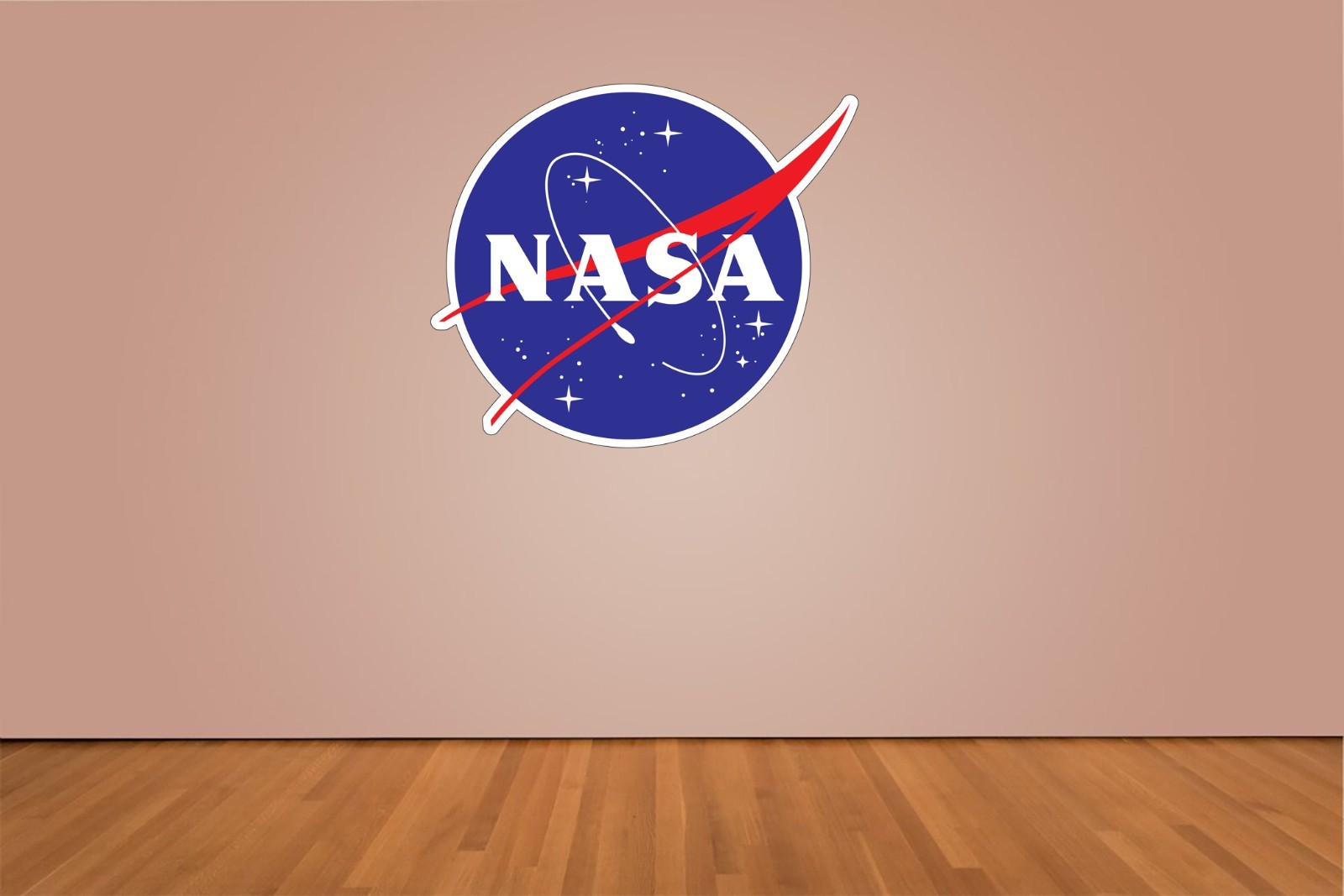 NASA Logo Indoor Wall Vinyl Decal Sticker 5" – 52"