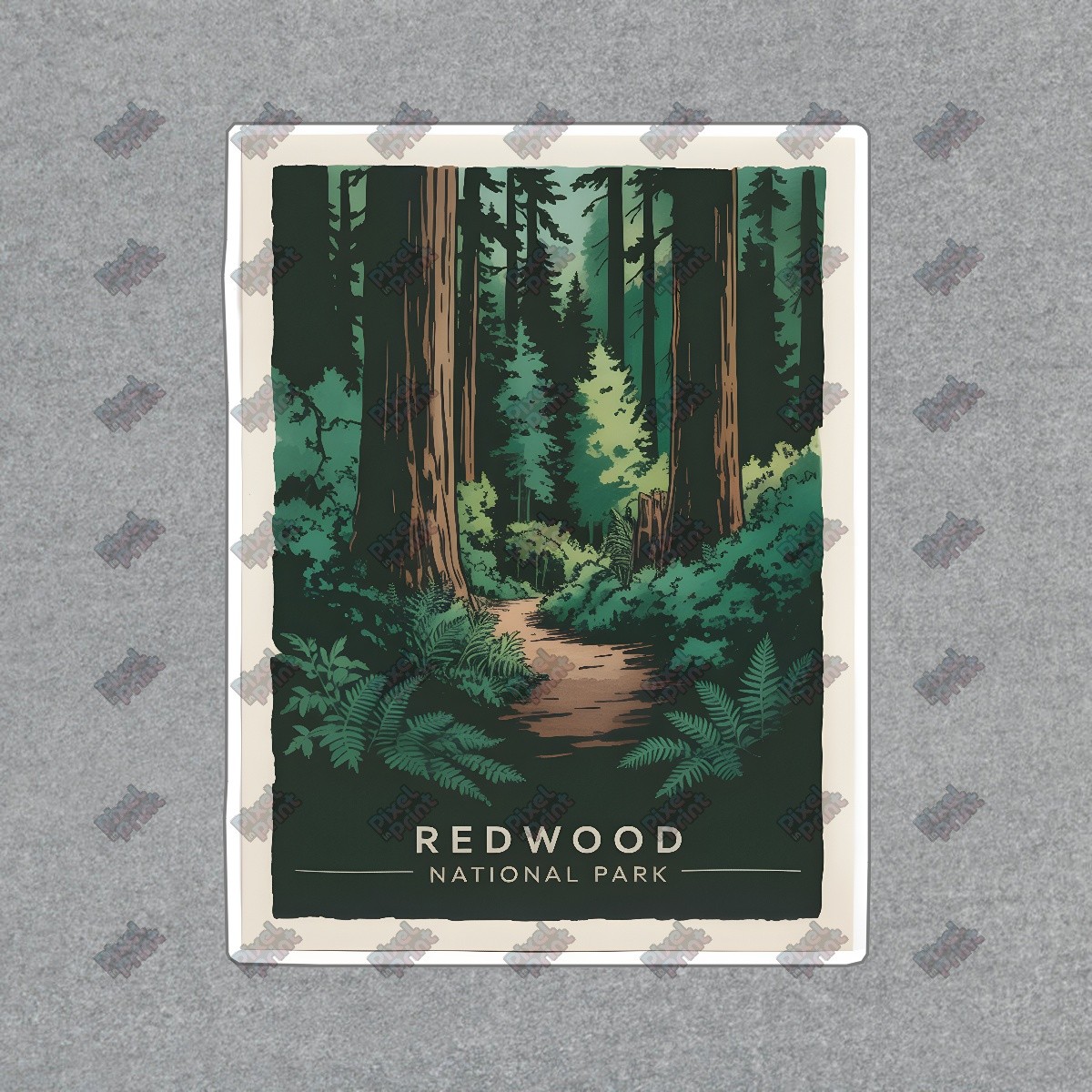 Vintage Redwood National Park Poster Serene Forest Path Art Print #8491