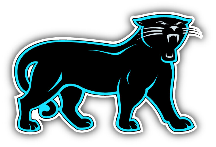 Carolina Panthers NFL Football Sport Logo Car Bumper Sticker Decal "SIZES"