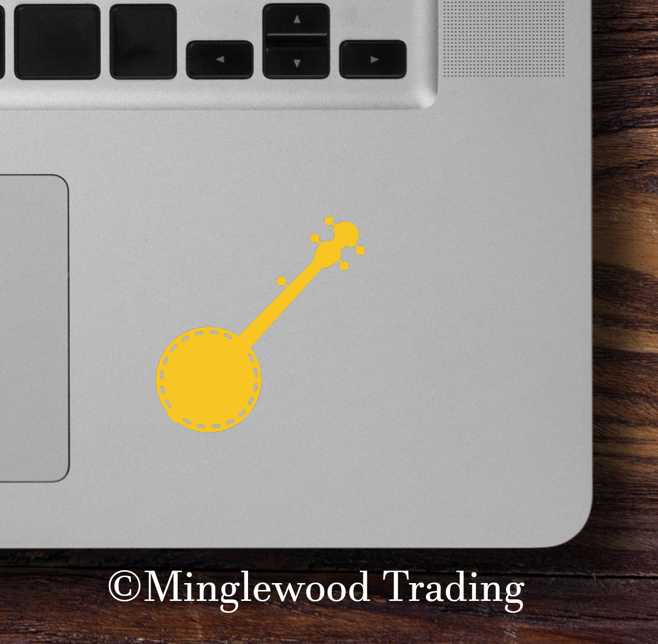 BANJO – Vinyl Decal Sticker – Bluegrass Country Music Picking