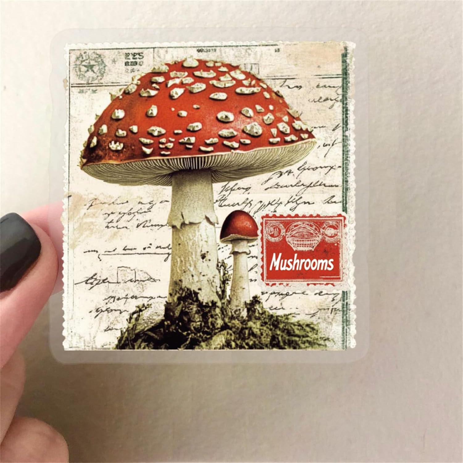 50PCS Vintage Mushroom Stickers PET Transparent Stickers Retro Flora and Fauna D