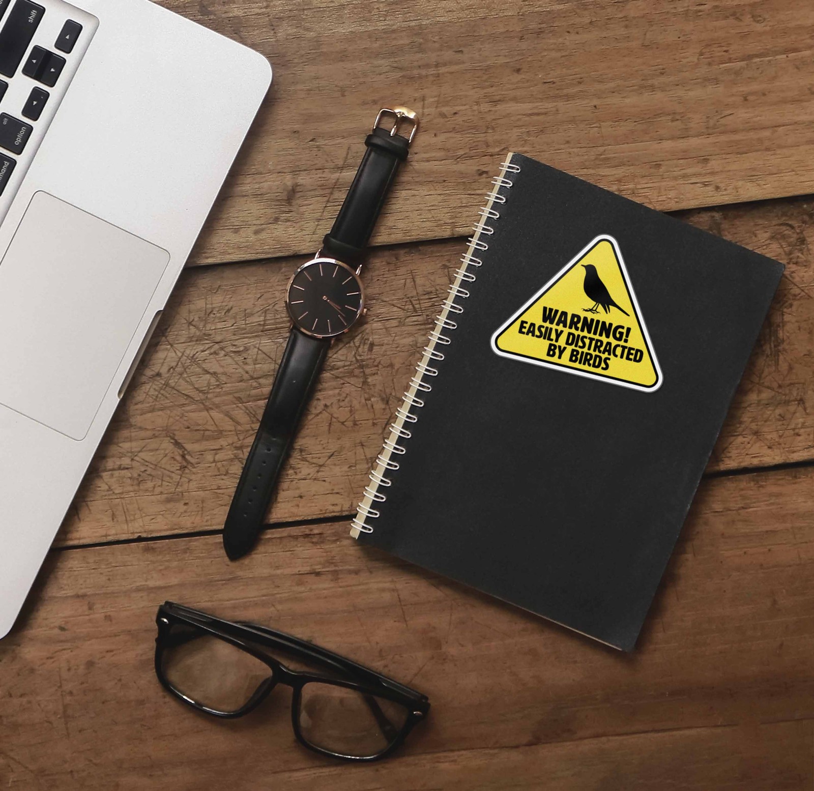 Easily Distracted by Birds Sticker – Funny Birdwatching Decal