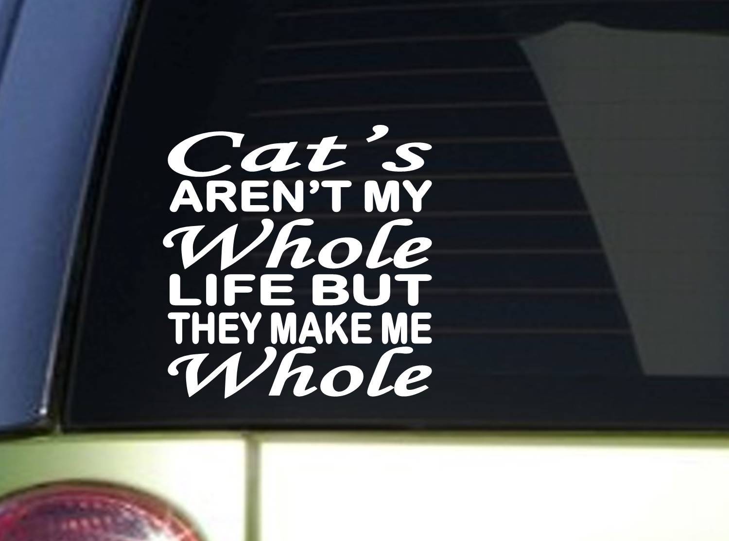 Cat's Whole Life *J123* 6×8 inch Sticker decal