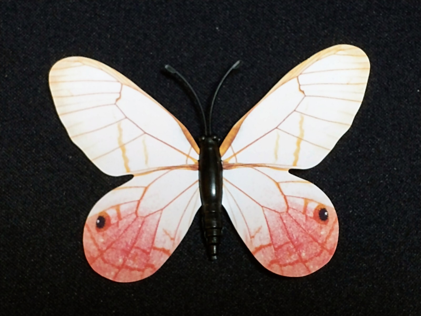NEW , 12 Paper & Plastic Butterfly Pin set . Each Different, has sticky tabs.