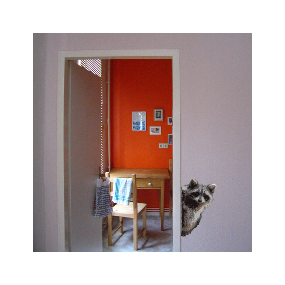 Raccoon Peering Around Wall Decal – 11" tall x 7" wide