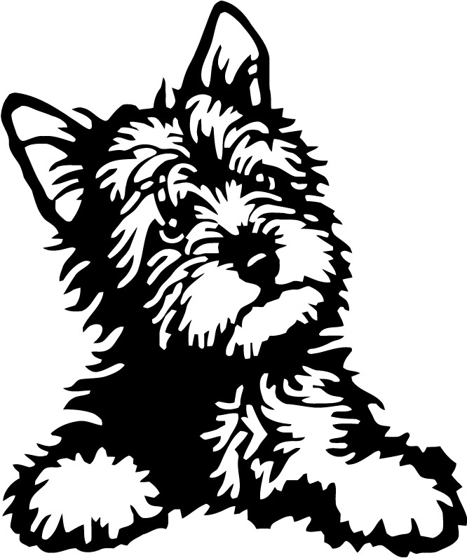 Yorkie Poo Puppy VINYL DECAL Car Sticker Pet Dog Collar Animal Cute BUMPER 4"