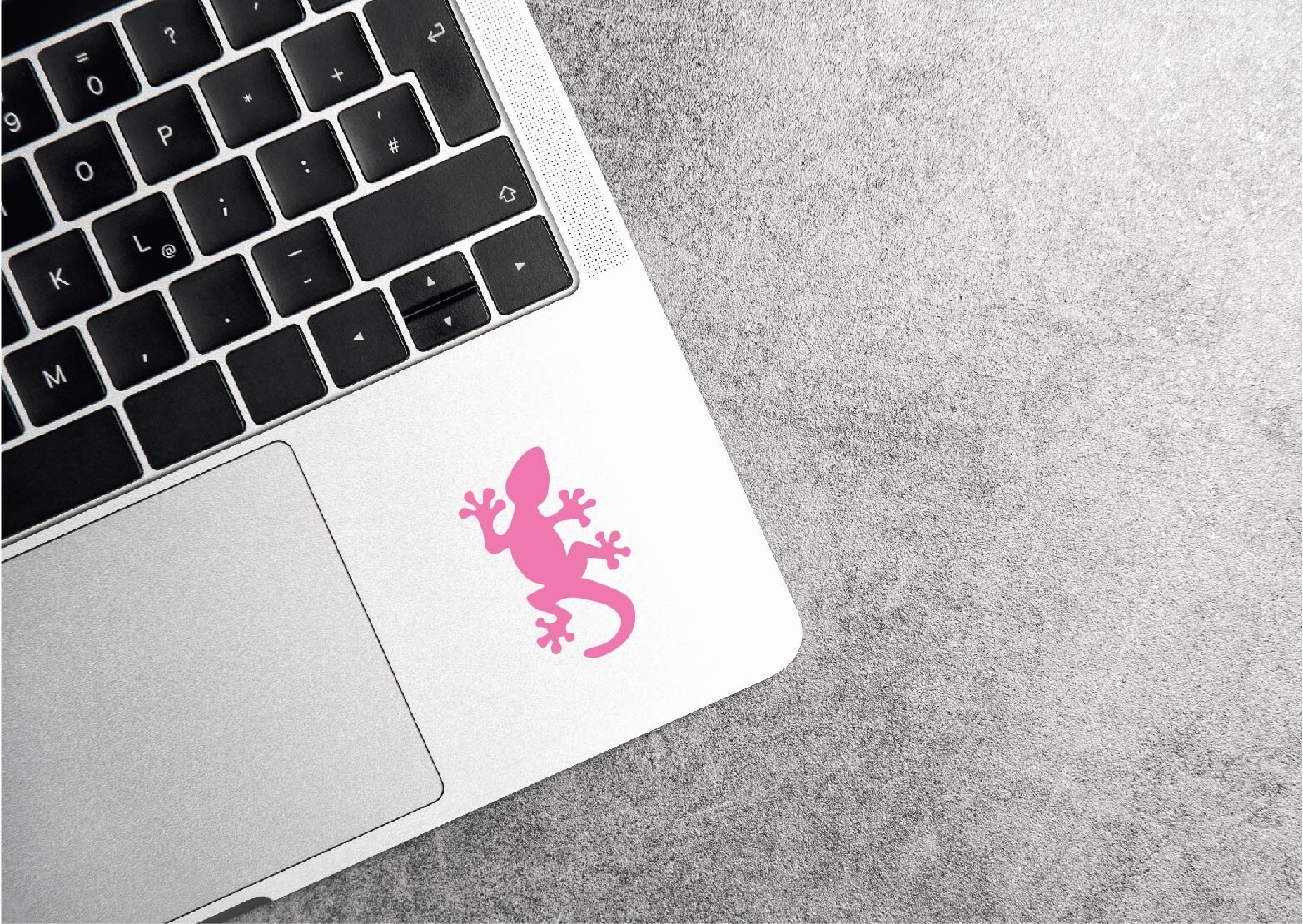 Gecko Decal Sticker Lizard Pet Reptile Love Sticky Feet Leopard Day Tokay Frog