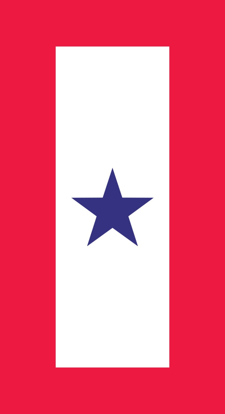 One Blue Star Service Mother's Flag Vinyl Decal Sticker Size Military soldier