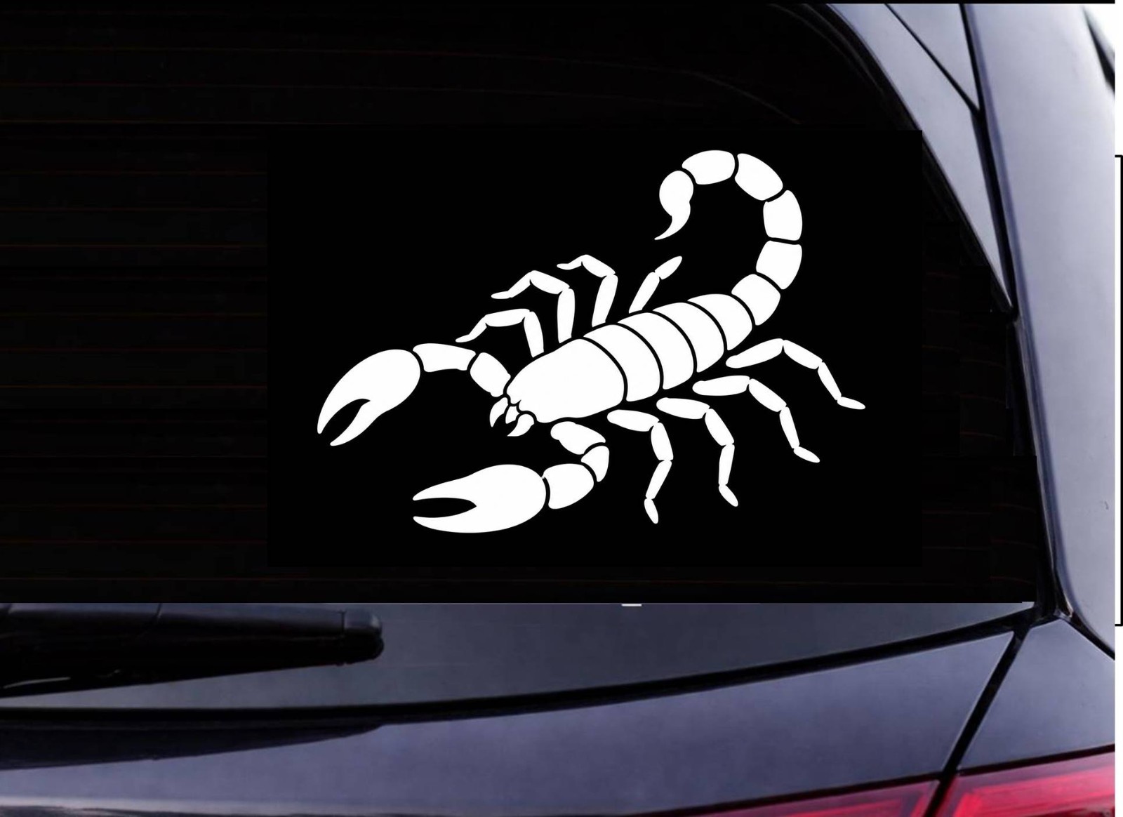 Scorpion Sticker OS 821 Zodiac Decal