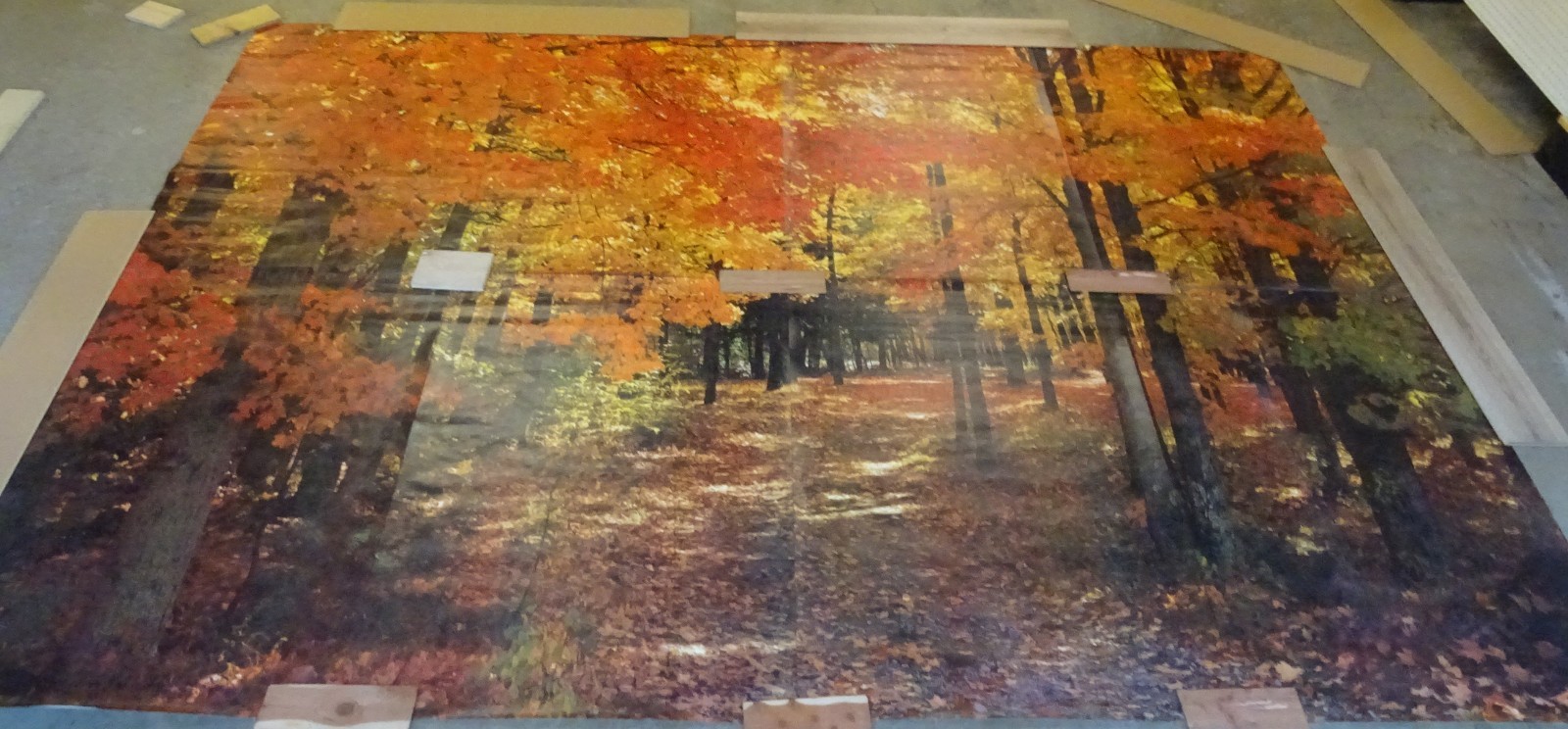 Full Wall Photo Mural Colorful Autumn Leaves Forest Path Tree 8’ 8” x 12’ 6” NOS