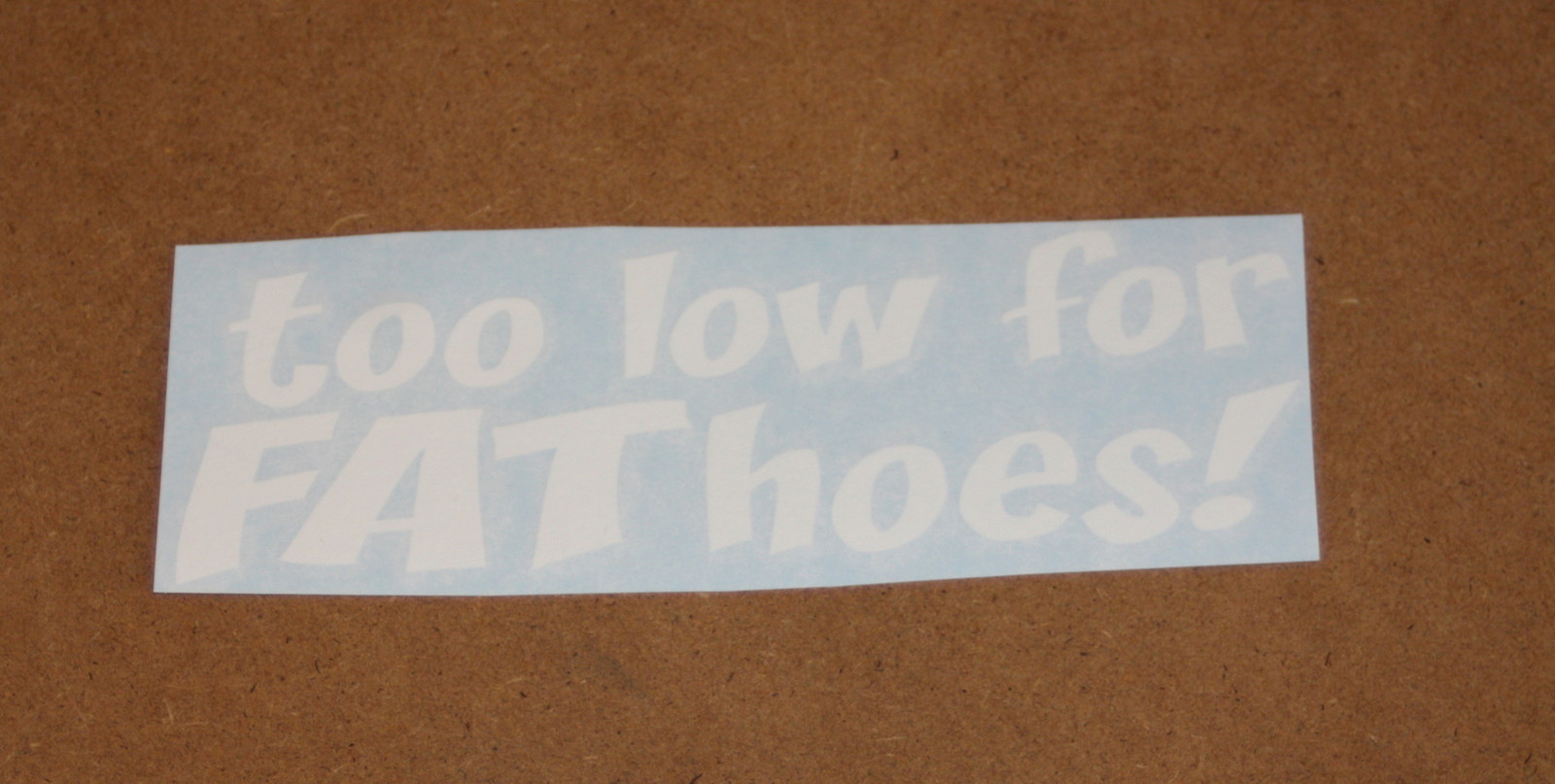 NEW Too Low For Fat Hoes Decal Funny JDM Import Drift