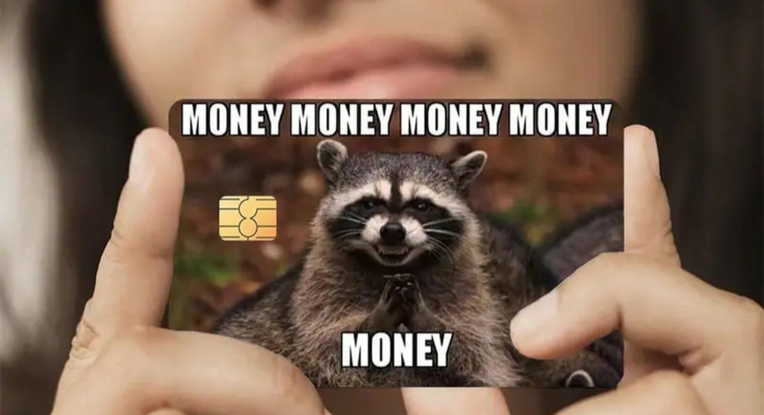 Money Money Money Humorous Raccoon Credit Debit Card Sticker Free Shipping