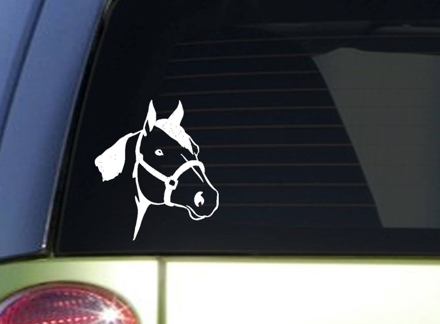 Quarter Horse sticker *I843* 6 inch Sticker horse decal ˜