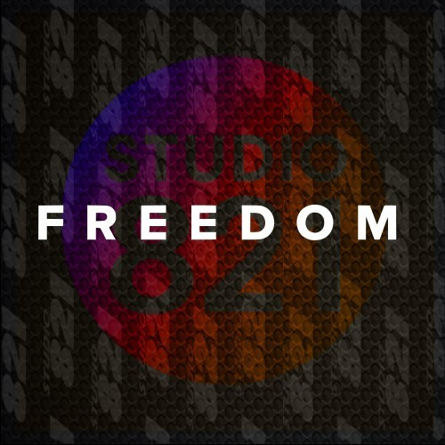 FREEDOM Vinyl Decal Sticker – Charlie Kirk Transfer Cut Stickers-Patriotism USA