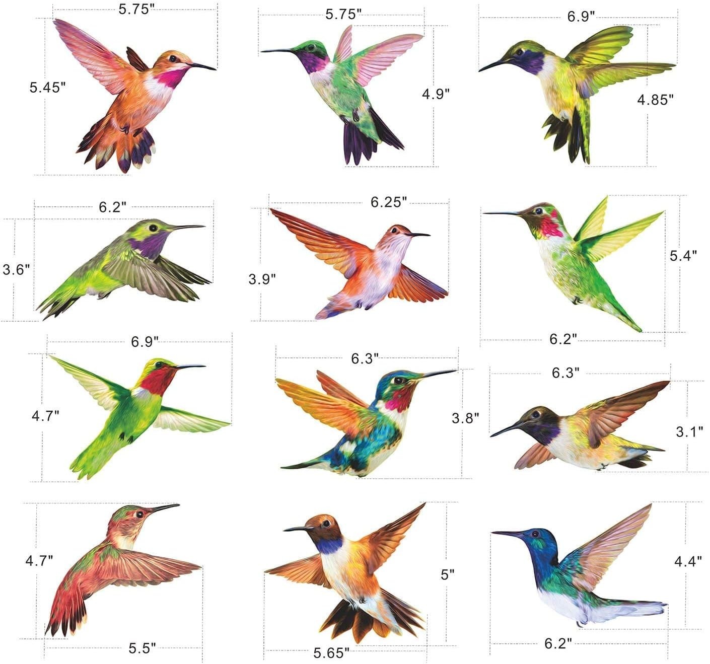 Gorgeous Hummingbird Window Clings – 12 Pack UV Resistant and Easy to Apply