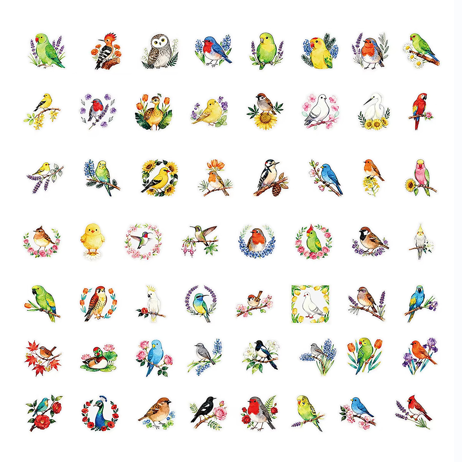56 PCS Artistic Birds Sticker Pack Transparent Watercolor Floral Ornithology