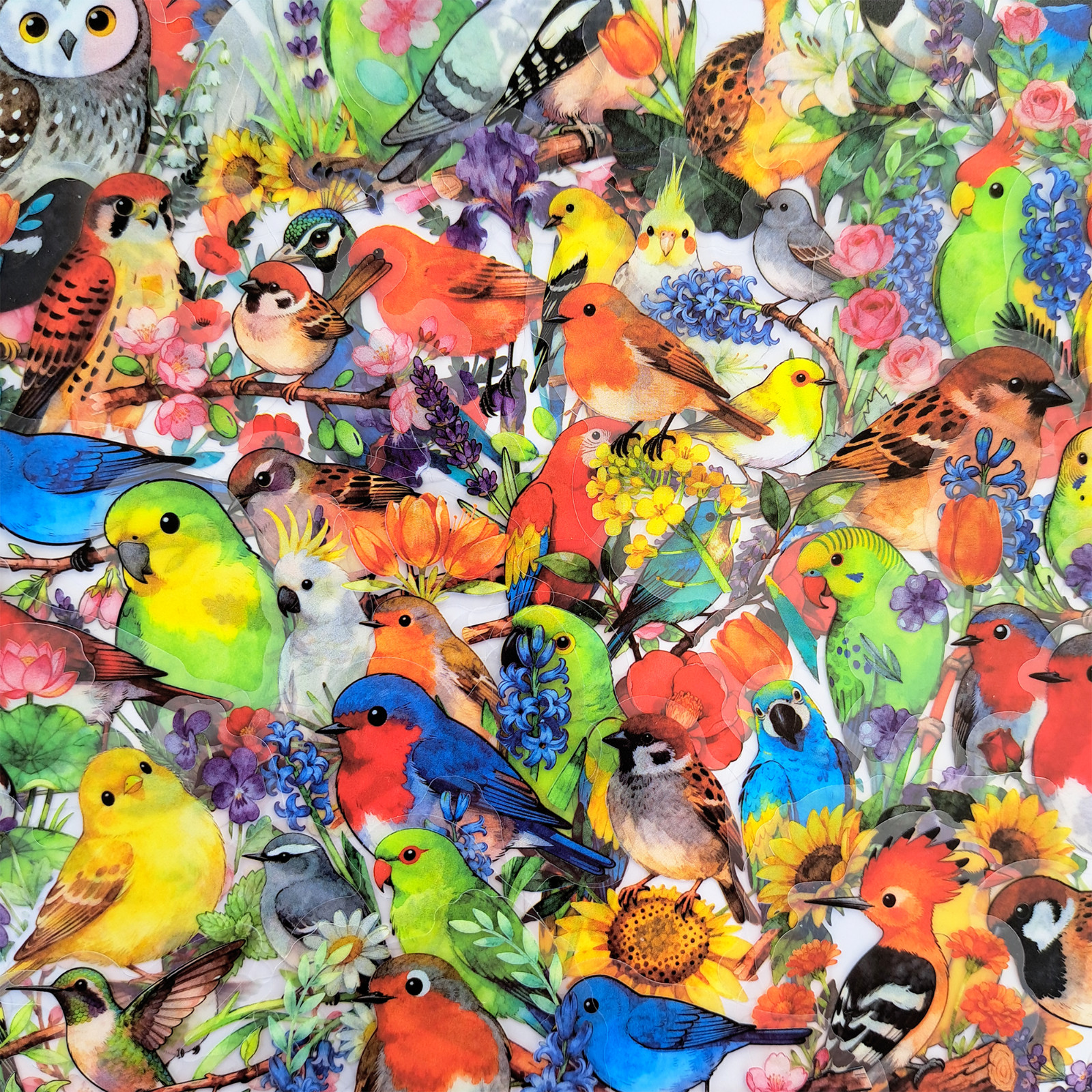 56 PCS Artistic Birds Sticker Pack Transparent Watercolor Floral Ornithology