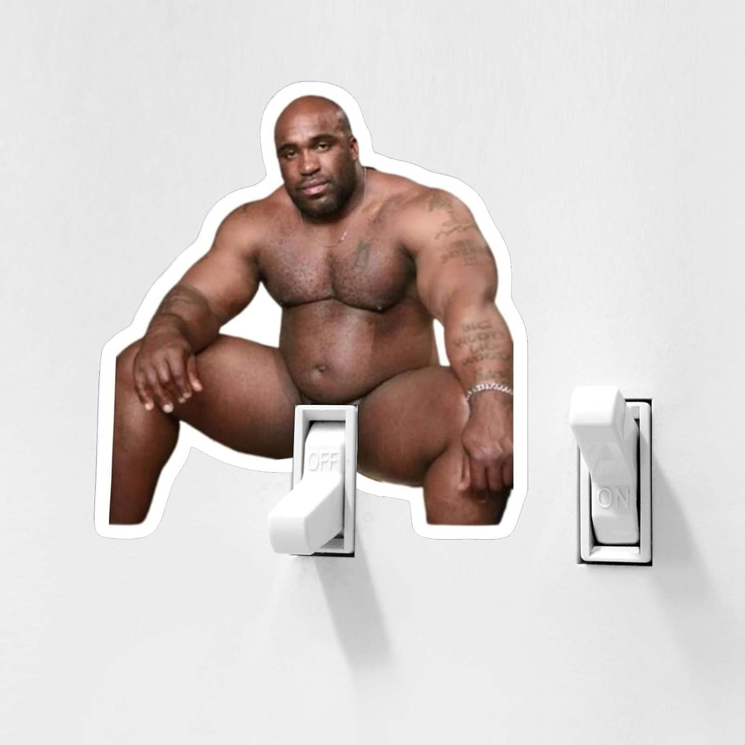 10Pcs Funny Barry Wood Light Switch Sticker Decals, Waterproof Vinyl Prank Jokin